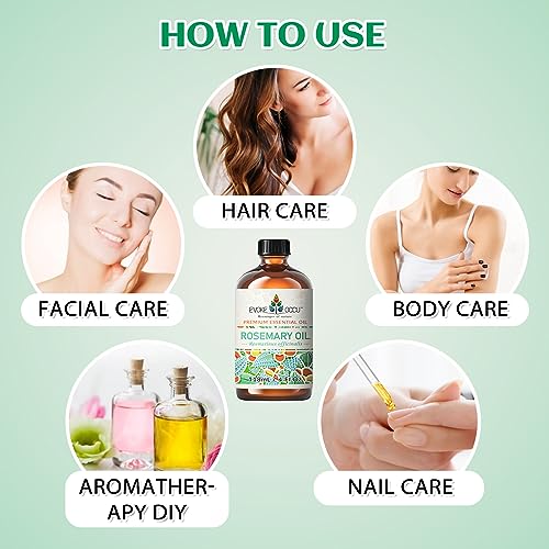 EVOKE OCCU Rosemary Essential Oil 118ml, Pure Rosemary Oil for Hair Skin Home Diffuser- 4 FL Oz - Image 6