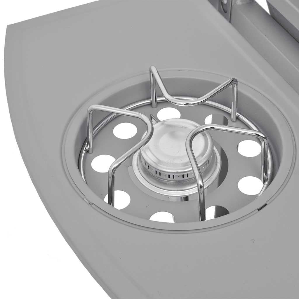 vidaXL Griglia Barbecue a Gas 4+1 Fornelli Argento