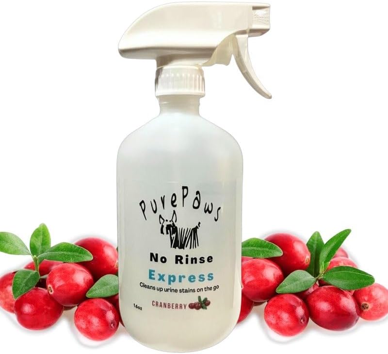 Pure Paws No Rinse Express | Keep Stains Off of Your Dog's Coat | 16oz