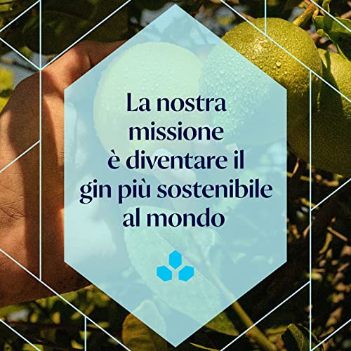 Bombay Sapphire Sunset