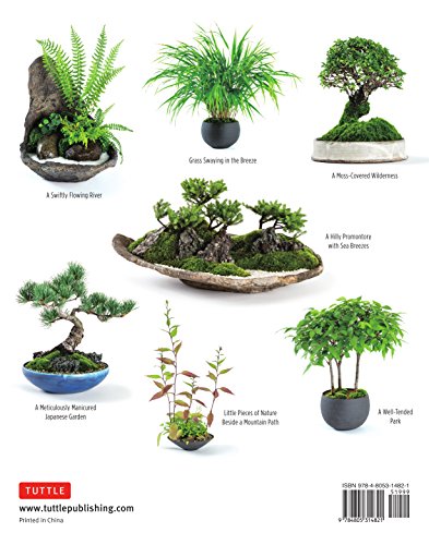 Miniature Japanese Gardens: Beautiful Bonsai Landscape Gardens for Your Home