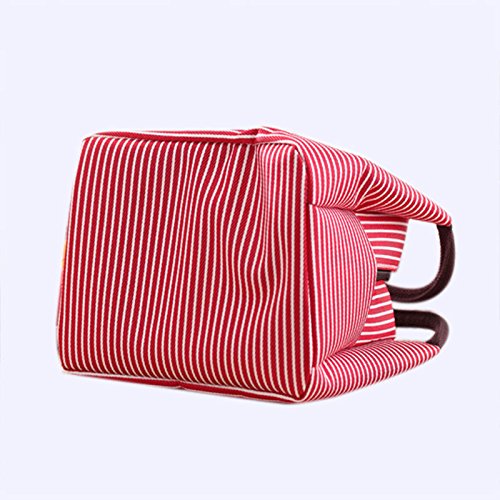 VICSPORT - Bolsa térmica para el almuerzo para adultos