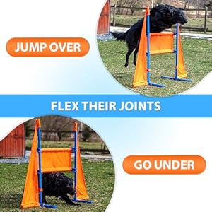 SparklyPets Premium Dog Agility Training Equipment, Build Unique Dog Agility Course with New Jump Over & Under Element, a Perfect Obstacle Course Backyard Set for Indoors & Outdoors! SparklyPets Premium Dog Agility Training Equipment Build Unique Dog Agility Course with New Jump Over Under Element a Perfect Obstacle Course Backyard Set for Indoors Outdoors