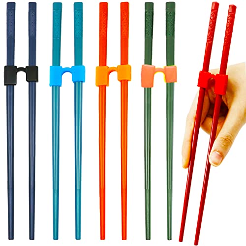 Top 10 Best Chopstick Trainer For Adult Reviews & Buying Guide Katynel