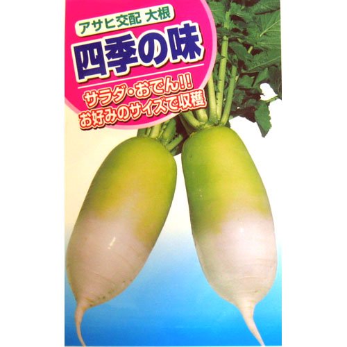 Amazon.co.jp: Daikon Seeds, Seasonal Flavor, Small Bag