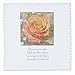 Produktbild 3dRose QS 29283 _ 1 Pfirsich Rose Dream Gedicht Poesie Inspirational-Quilt Platz, 10 von 25,4 cm