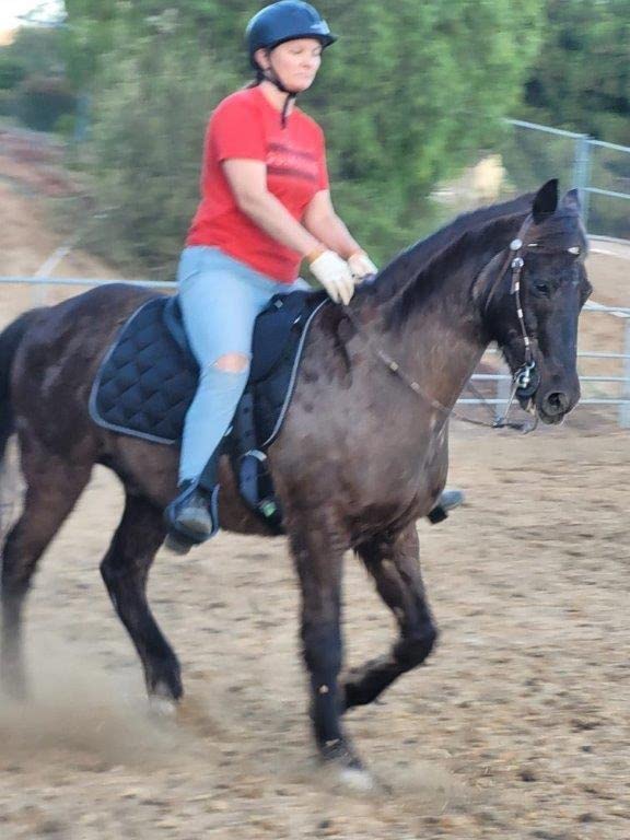 Mustang Western Soft Ride Saddle customer photo