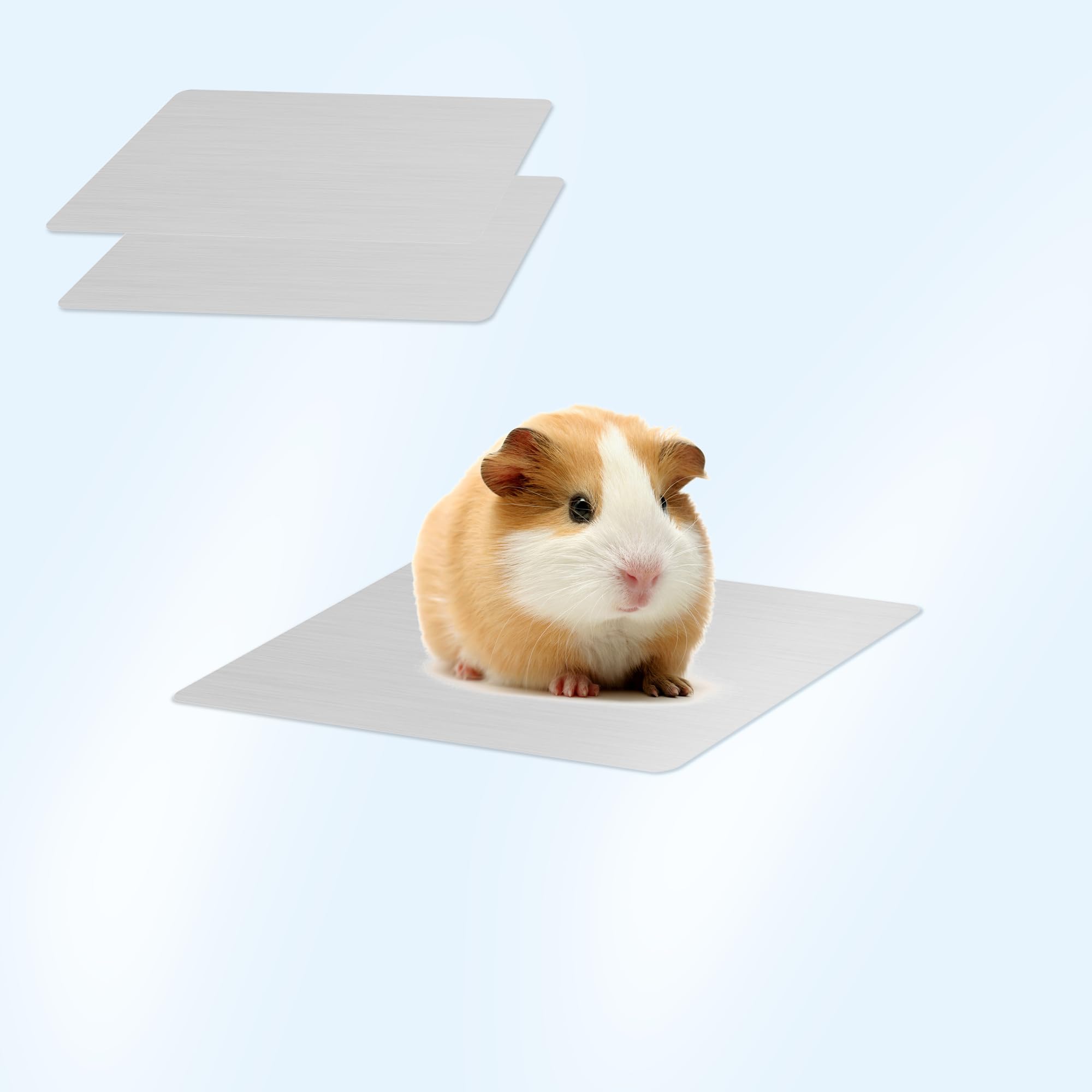 Small Pet Cooling Mat