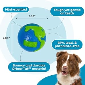 Outward Hound by Planet Dog Orbee-Tuff Planet Ball Blue/Green Treat-Dispensing Dog Toy, Medium