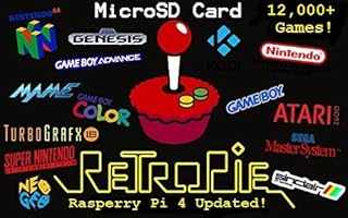 FL Techz RetroPie 12,000+ Games 256GB MicroSD Card for Pi 4 & 400 Box Art and Video Previews