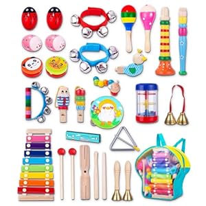 JOFLVA Musikinstrumente Für Kinder, 32PCS Musikinstrumente Musical Instruments Set, Musikinstrumente Für Kinder Ab 3 Jahre, Schlagwerk Rhythmus Spielzeug Musik Kinderspielzeug Geschenke FüR Kinder.