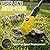 Cordless Weed Wacker, 21V Battery Powered Grass Trimmer & Edger 2-in-1, Electric Weed Wacker with 2 × 2.0Ah Batteries and 8 × Spare Spools, Lightweight Edger Lawn Tool for Yard & Garden
