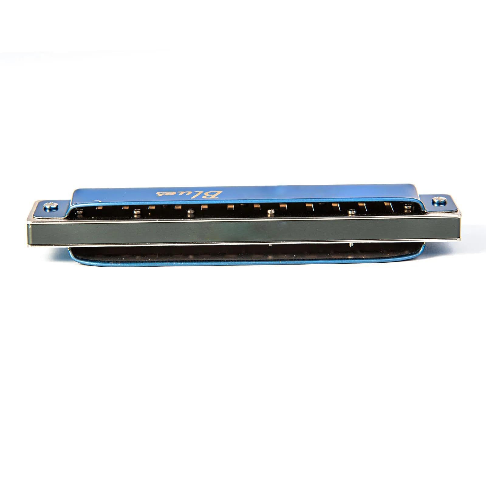 harmonijka 12-otworowa harmonijka C diatoniczna harmonijka bluesowa organki ustne instrument muzyczny dla początkujących