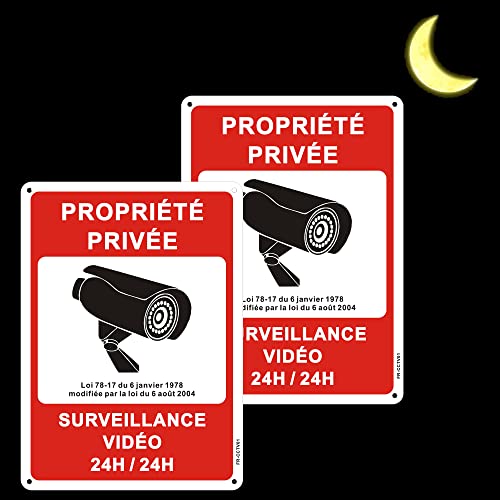 Propriété Privée sous Video Surveillance Panneau Aluminium Réfléchissante 250x180mm 2 Pièces