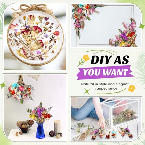 Mini ramilletes flores secas Olvídame 30 piezas miniatura 6