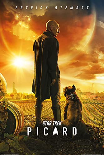 empireposter Star Trek - Picard Number One - Film Movie Poster Plakat Druck - Größe 61x91,5 cm