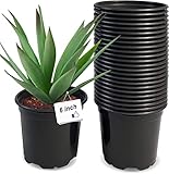 50pcs 6 inch Nursery Pots Small Plant Pots with Drainage Holes Plastic Pots for Plant Seedling Pots
