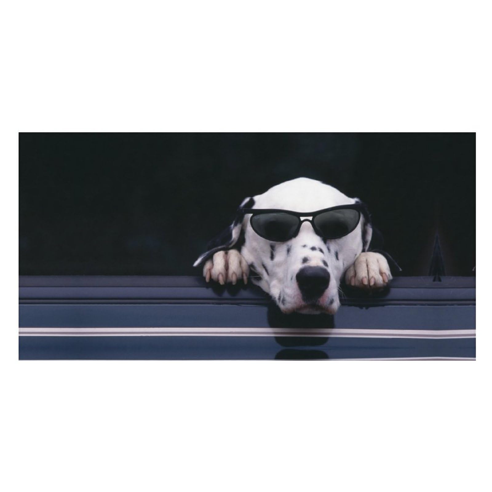 LWORZIIB Beach Towel, Dalmatian Bath Towel, Pool Towel Great for Gym Swimming 80 X 160cm