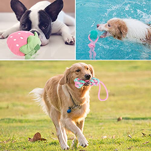 VIPNAJI Welpenspielzeug -15pcs ​Langlebiges Hundespielzeug für Welpen/kleine und mittlere Hunde, Plüsch Hundeseilspielzeug -Kauspielzeug Naturbaumwolle & Ungiftig & sicher & Unzerstörbar , Rosa