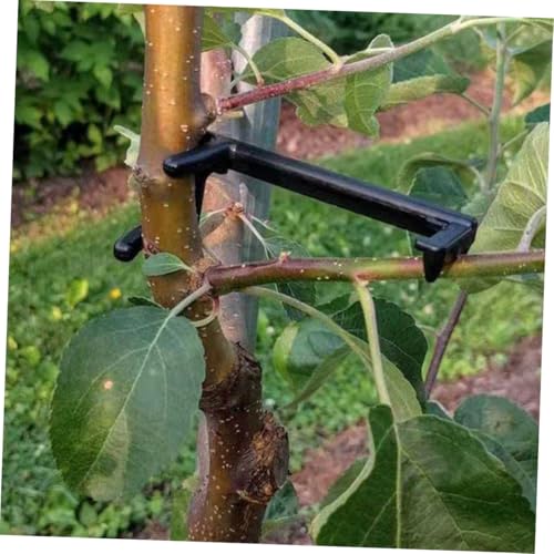 Soportes para ramas de árboles frutales 150 piezas miniatura 5