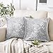 Grigio Argento Federe Cuscini Divano 40 x 40 Cuscini Per Divano Decorativa Moderno Velluto Morbida Di Lusso Federa Per Divano Giardino, 2 Pezzi