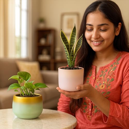 Image of Urban Plant Terracotta Pot - Trendy Planter for Modern Home & Garden Spaces (Terracotta Bliss - Set of 2)