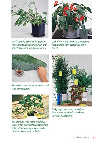 image for Fox Chapel Publishing Pocket Guide to Houseplants: Over 240 Easy-Care 