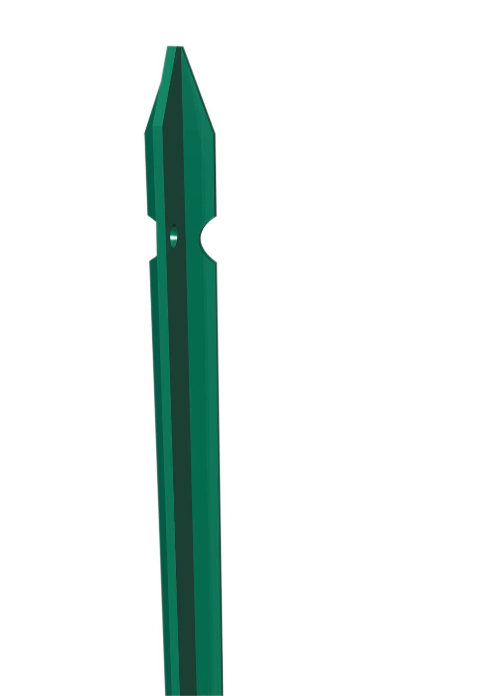 PALETTO PLASTIFICATO CM 100 T30X3,0 KG 1,25 PZ 10