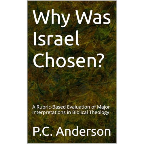 Why Was Israel Chosen? Audiolibro Por P.C. Anderson arte de portada