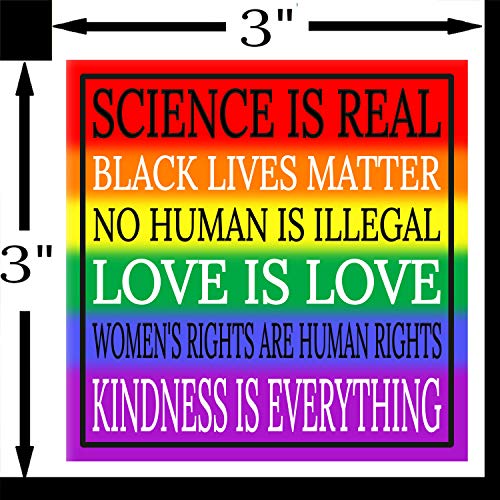 Kindness Is Everything Rainbow Sticker - Gay Pride Human Rights Premium Vinyl Decal 3 X 3" L For Car Bumper Auto Window Lgbt Science Is Real Love Is Black Lives Matter Blm + Better Than Magnets #TOP3