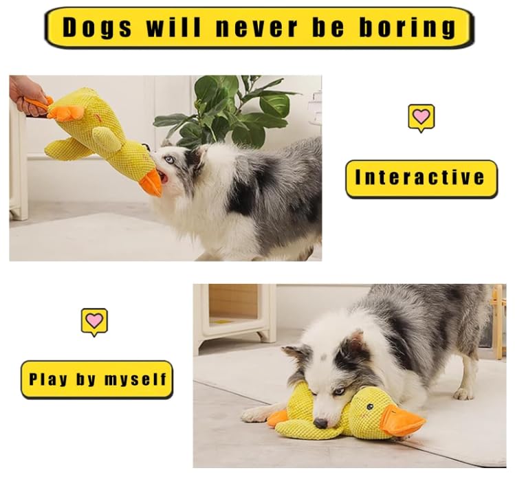Amazon | The Mellow Dog 心を落ち着かせるアヒル、クワックワック