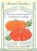 Pumpkins - Cinderellas Carriage Seeds