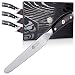 Kessaku Steak Knife 4 Piece Set - Samurai Series - Japanese Etched High Carbon Steel, 5-Inch