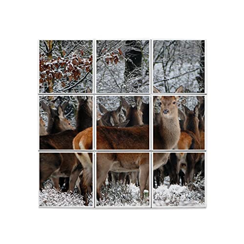 Carreaux Céramique Décoratif de Prestige Forêt et Cerfs