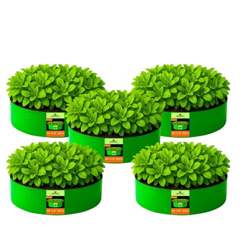 Image of Kingwell grow bags 24x9 inch pack of 5 Grow Bag For Terrace Garden Leafy Vegetable Plant Grow Bags Fruits Growing Containers For terrace Gardening