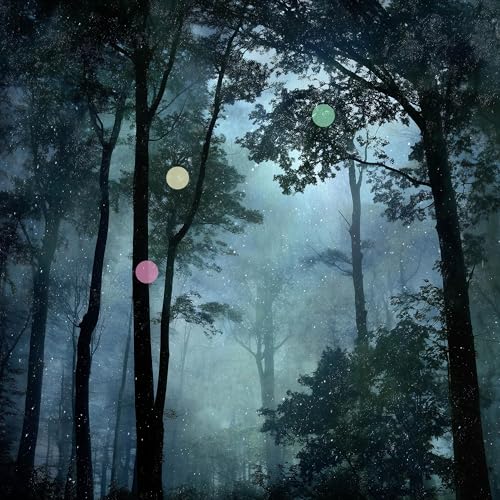 Lluvia Ligera Nocturna en el Bosque Podcast Por arte de portada