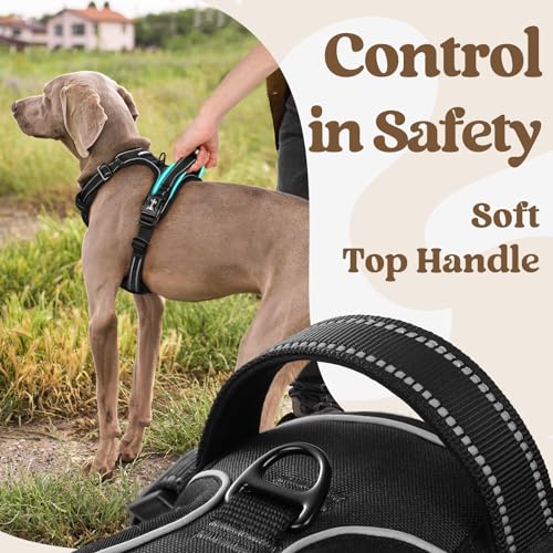 Rabbitgoo DGBDSCKK01MBK23CW-JPX Dog Harness Medium Sized, No Pull Pet Harness With 3 Buckles, Adjustable Soft Padded Dog Vest thumb #4