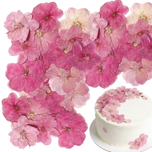 Floruvia 40 Piezas 2 Tipos de Flores Naturales prensadas comestibles, decoración de Tartas - Sakura, Flores de Cerezo para Adornos de Cupcakes, cócteles, joyería de Resina, proyectos de Manualidades