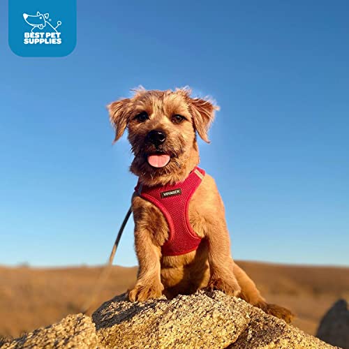 Voyager Step-In Air Dog Harness - All Weather Mesh Step In Vest Harness For Small And Medium Dogs By Best Pet Supplies - Harness (Red), Small #TOP6