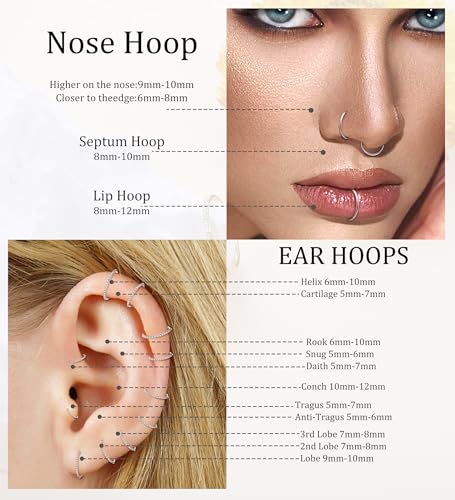 3pcs Nose Rings Hoops - 316L Surgical Steel Hinged Nose Hoops 16G/18G/20G CZ Clicker Septum Nose Ring Lip Helix Cartilage Hoop Earring Daith Rook Conch Body Piercing Jewelry for Women Men 8mm 10mm3
