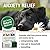 HomeoPet ANXIETY RELIEF - 100% Natural Pet Medicine. Fear anxiety or stress from separation kennelling vet/grooming visits for dogs cats rabbits birds. Pets of all ages. 15ml/up to 90 doses per bottle