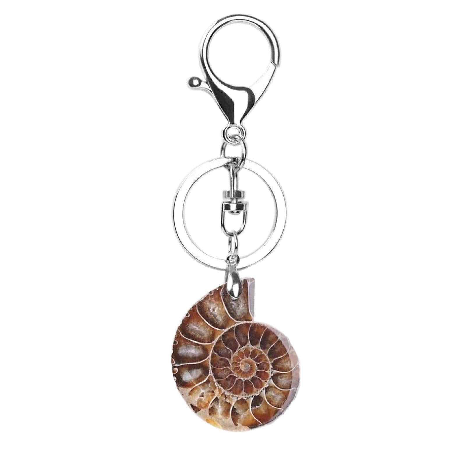 Uomskty Unisex Ammonite Natural Stone Pendant Keychain - Natural Stone Animal Shell Pendants Keychains,Motorcycle Car Door Keychains Key Rings For Mens Women,,10.7Cm