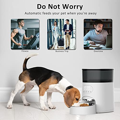 GHG Automatic Cat Feeder, 4L Auto Pet Food Dispenser with Stainless Steel Bowl, Desiccant Bag, Programmable Portion… - Image 8