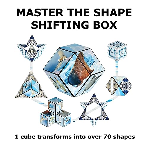 Image of Shashibo DODECA Magnetic Puzzle Cube, Sensory Fidget Toy for Adults & Kids, Stress Relief Fidget Toy for All Ages, Cool Fidget Toys for Desk, Shape Shifting Box, 100+ Possible Shapes