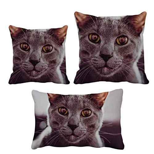 Coussin photo de chat gris DIYthinker une idee cadeau originale - 2