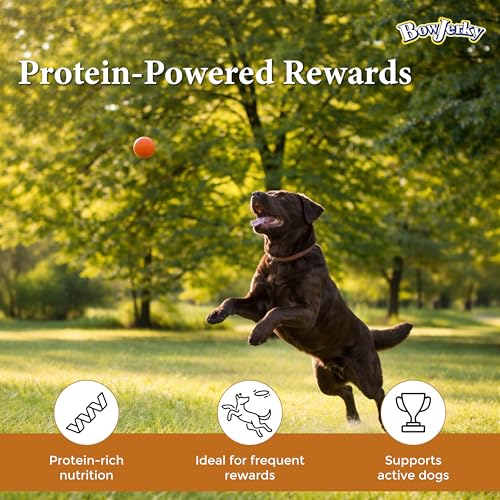 Image of Liver Dog Treats Combo Pack | High Protein Stick Shape Dog Snacks for Training & Reward | Healthy Liver Treats for Puppies & Adult Dogs 800g x 2