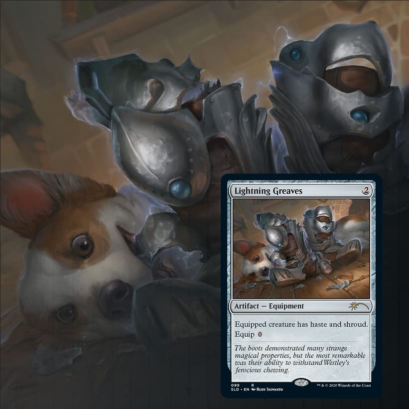 Amazon.com: Magic The Gathering: Secret Lair - Every Dog Has Its 