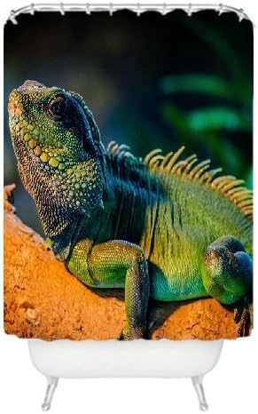 Iguana Lizard Cute Animals Generic Custom Waterproof Bathroom Curtains Shower Curtain for Bathroom Decor 72"(W)72"(H) from Custom4Fun