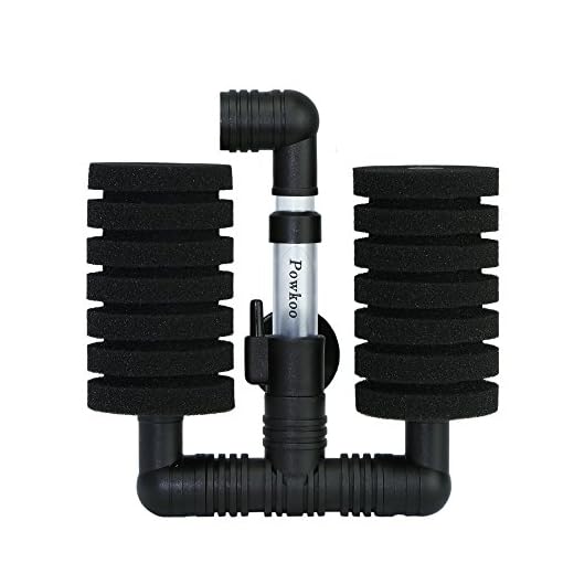 Powkoo Filtre double éponge pour aquarium - Filtre à mousse silencieux - Pour réservoir de crevettes Bettas (20 à 110 L)
