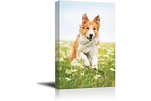 SIGNFORD Canvas Prints: Custom Pet Portraits